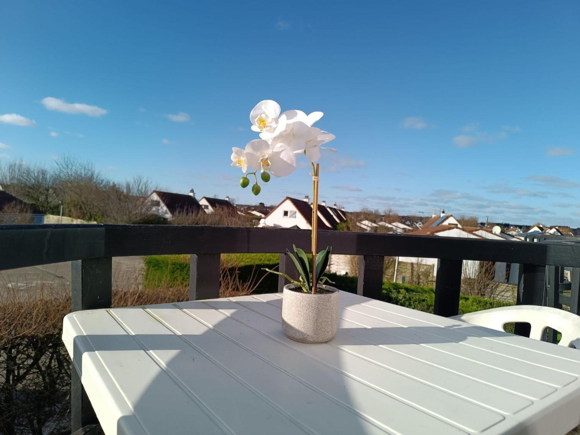 Apartment Luna By Interhome De Haan Exterior foto